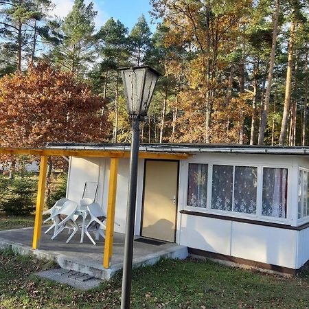 Ferienpark Seenland Lychen Luaran gambar