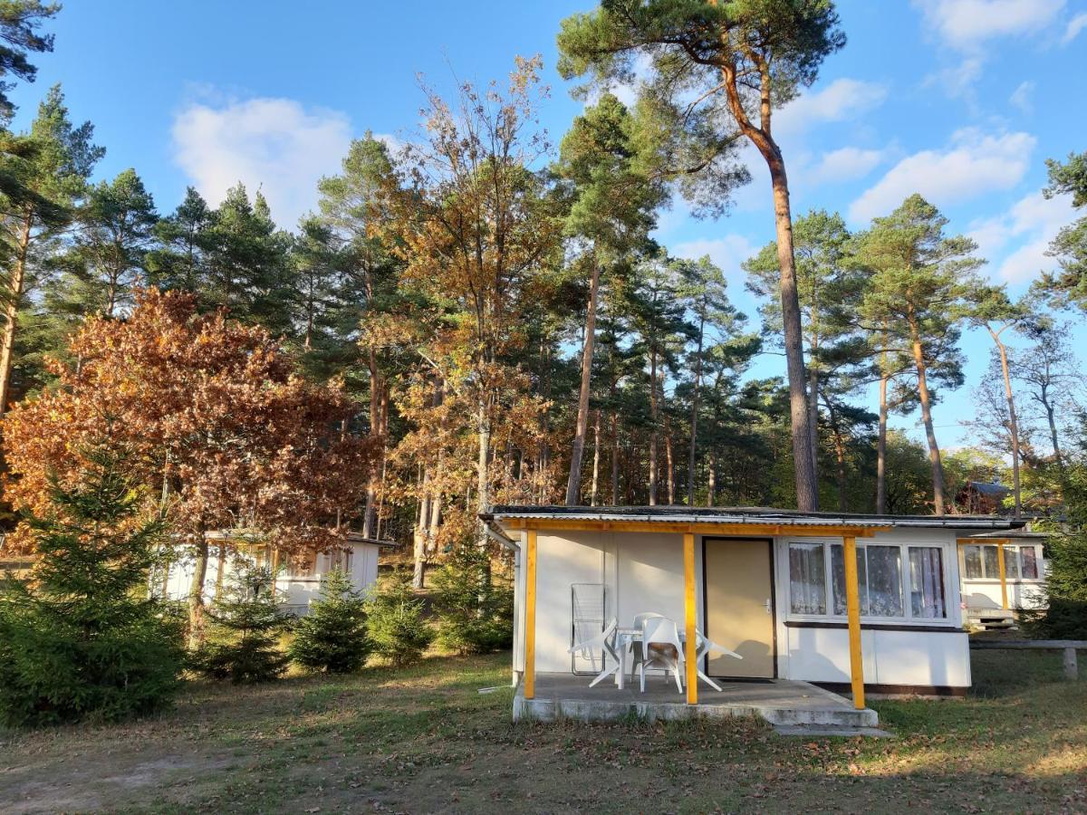 Ferienpark Seenland Lychen Luaran gambar
